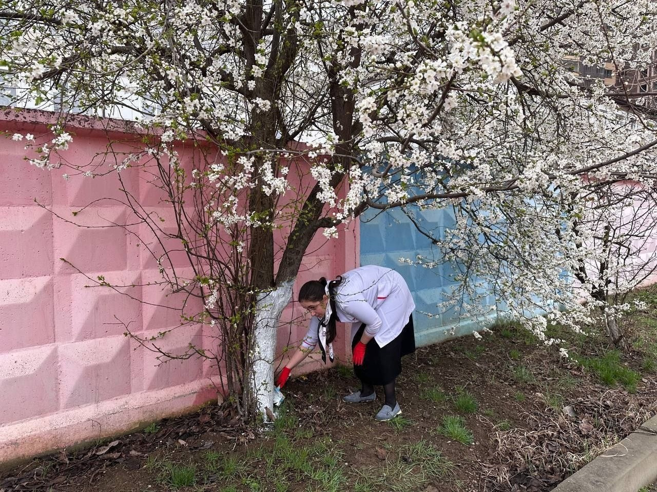 Субботник